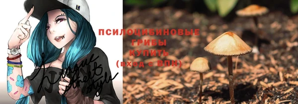 первитин Каменногорск