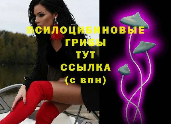 первитин Каменногорск