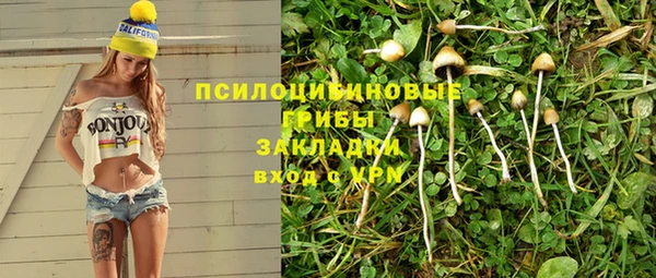 экстази Каменка