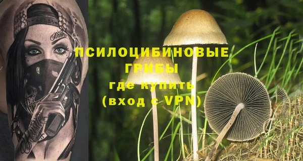 экстази Каменка