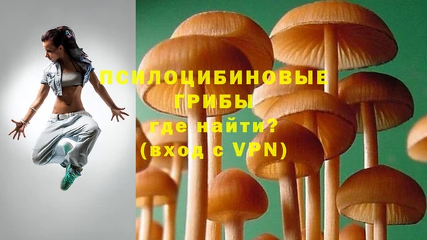 первитин Каменногорск