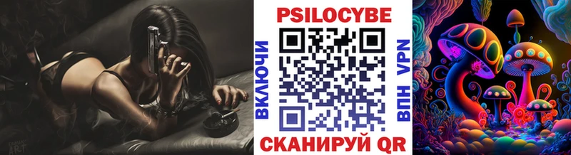 Купить где  Высоковск  Псилоцибиновые грибы Cubensis 